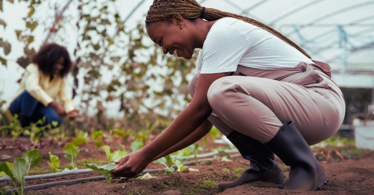 agricultural learnerships